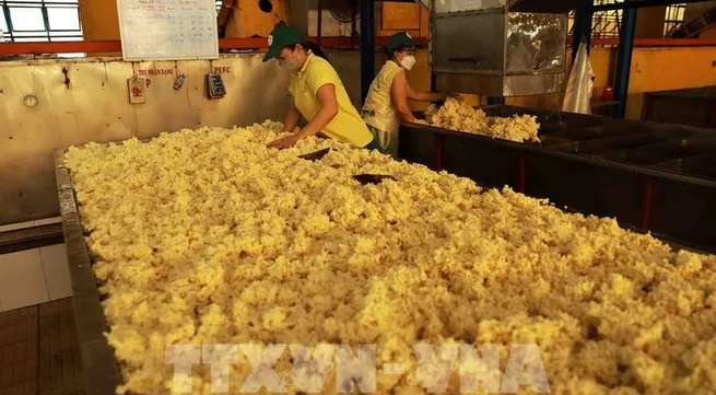 Vietnam targets 3.3 billion USD in rubber exports this year