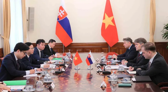 Vietnam, Slovakia hold political consultation