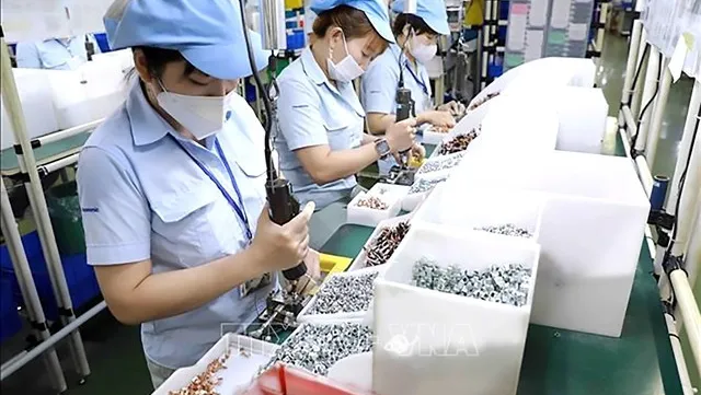 HCM City ramps up efforts to attract large foreign investments