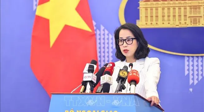 Vietnam wishes to enhance voice, role of developing nations as BRICS partner country