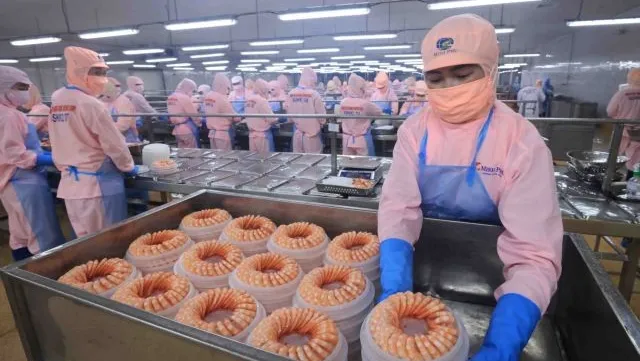 Vietnam's GDP forecast lowered amid global policy uncertainty