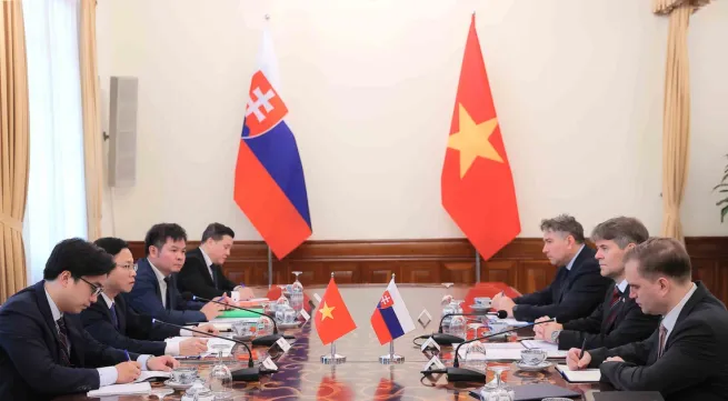 Viet Nam, Slovakia hold political consultation
