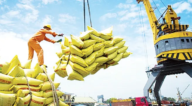 Cooperation potential between Viet Nam, Senegal and Morocco