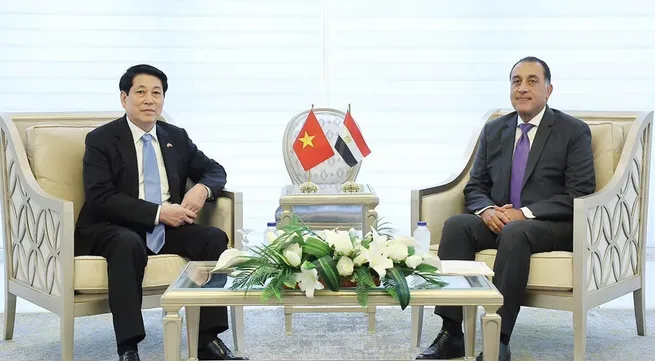 State President Luong Cuong meets with Egyptian Prime Minister Mostafa Madbouly