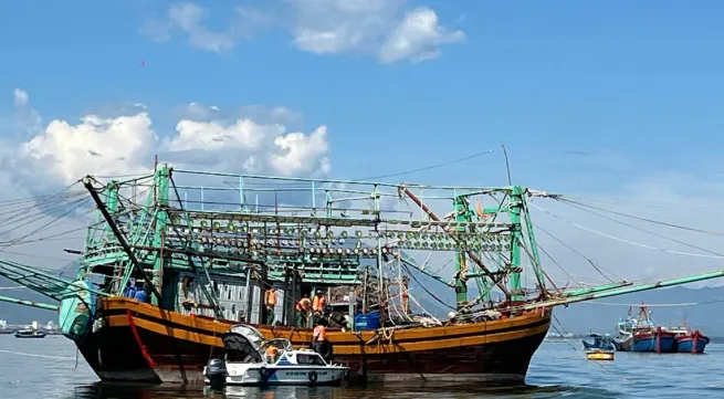 Da Nang expects removal of EC yellow card, sustainable fishery industry