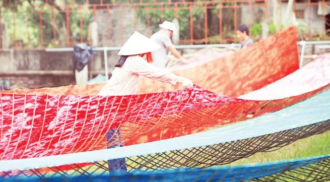 Unique Nha Xa Silk in Ninh Binh Province