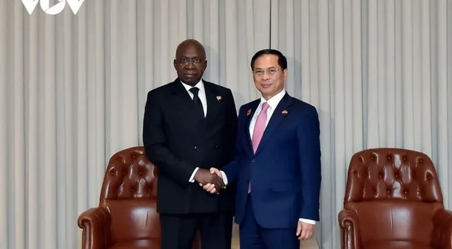 Vietnam, Angola seek stronger, more practical cooperation
