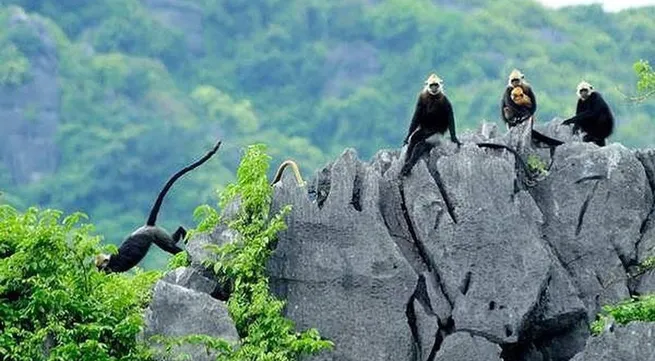 Promoting sustainable livelihoods