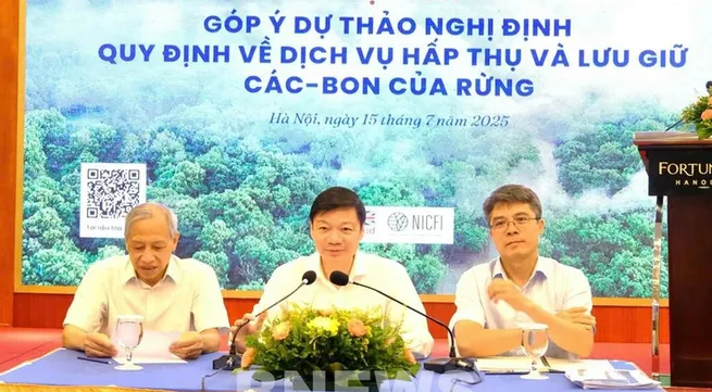 Vietnam completes legal framework for forest carbon market