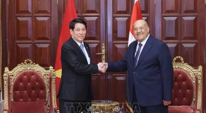 Vietnamese, Egyptian leaders agree to beef up parliamentary cooperation