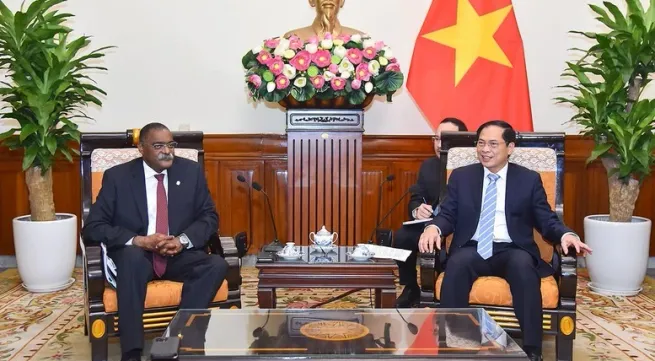 State President Luong Cuong's visit ushers in new chapter in Vietnam – Angola relations