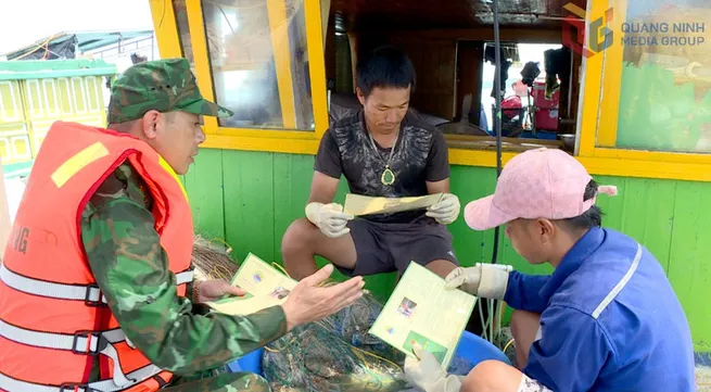 Quang Ninh steps up fight against illegal fishing