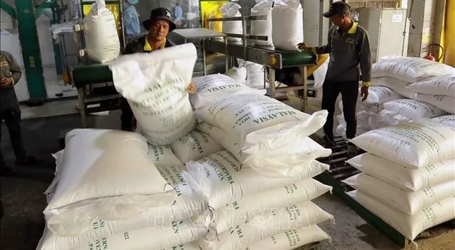 Vietnam’s rice exports remain stable despite import pauses by Philippines, Indonesia