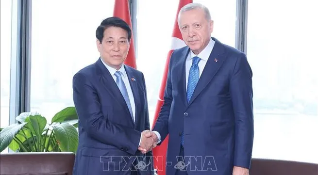 Türkiye regards Vietnam as key Asian partner: President Erdoğan