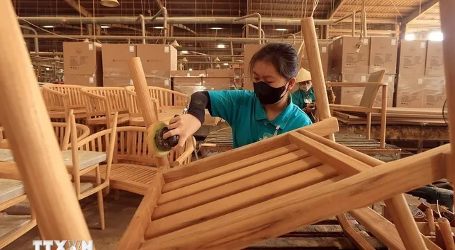 Vietnam’s wood sector navigates tariff pressures with market diversification