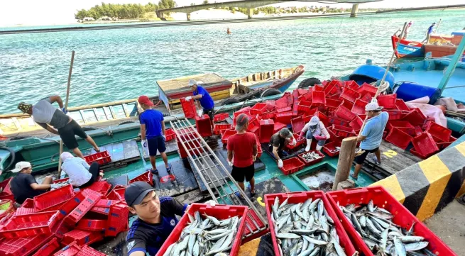 Viet Nam ratifies WTO Agreement on Fisheries Subsidies