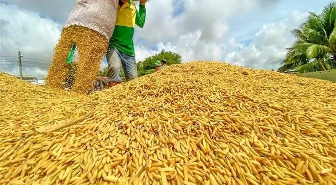 Agro-forestry-fishery exports eye record for 2025: Deputy Minister