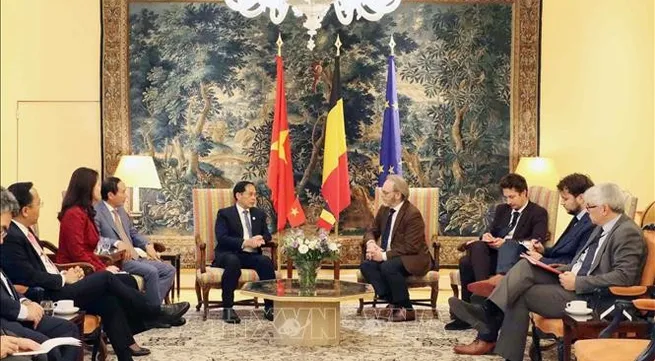 Vietnam, Belgium, EU deepen cooperation across key sectors