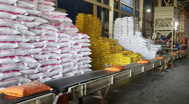 Vietnam exports 7 million tonnes of rice, earning nearly 3.59 billion USD