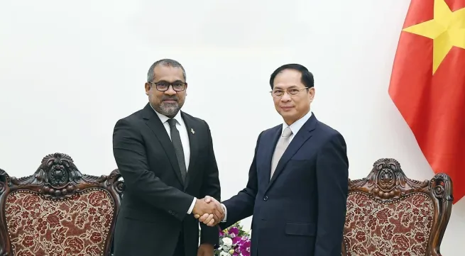 Vietnamese Deputy PM receives Maldivian Foreign Minister