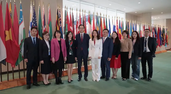 Vietnam’s re-election to UN Human Rights Council affirms growing global standing: Deputy FM