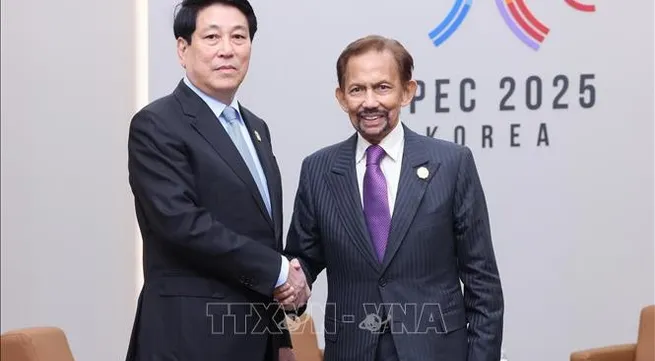 Vietnamese, Bruneian leaders pledge to promote practical development of bilateral ties