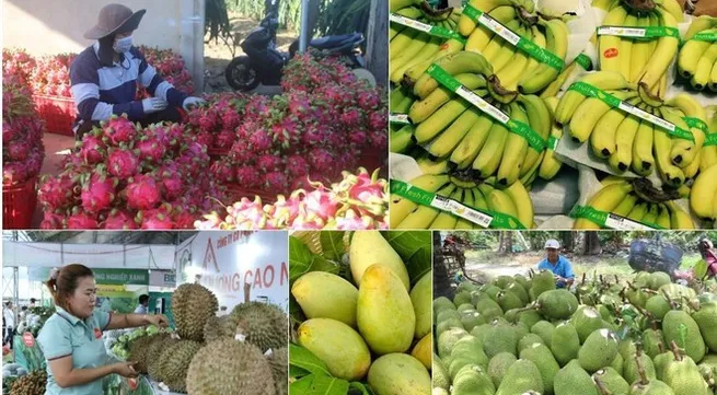Vietnam’s fruit, vegetable exports exceed 7 billion USD in 10 months