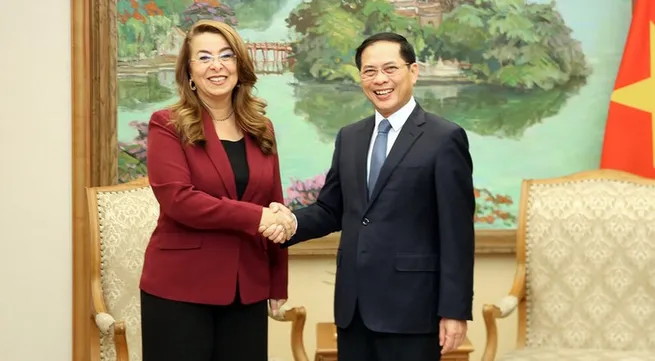 Vietnam, UNODC strengthen cooperation in crime prevention