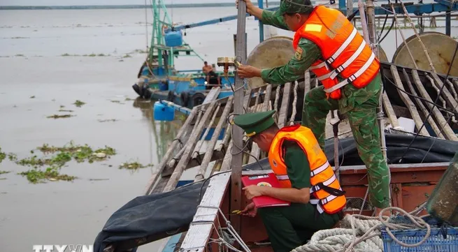 Dong Thap province tightens monitoring of vessels at sea to tackle IUU fishing