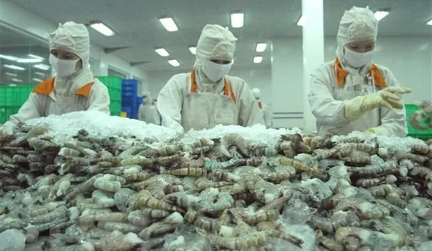 Vietnam earns 1.1 billion USD from shrimp exports to China