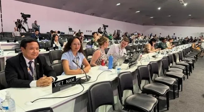 Viet Nam participates in parliamentary meeting at COP30