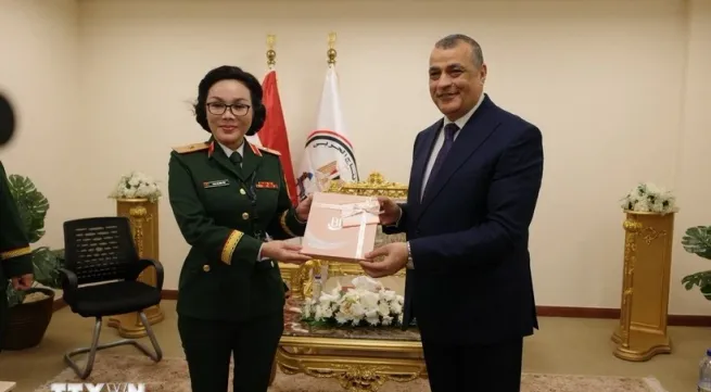Viet Nam, Egypt push for closer defence industry ties