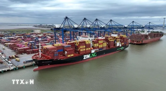 Nearly 500 containers of Vietnamese tea released from Pakistan's Karachi Port