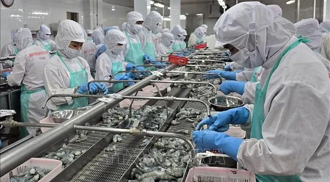 Vietnam’s exporters gear up for recovery as new markets open