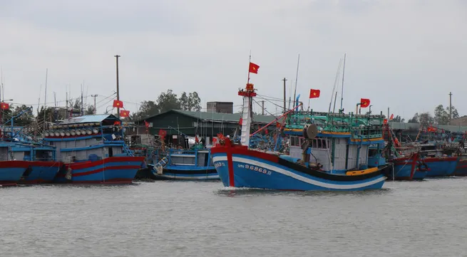 IUU fishing: Quang Ngai helps fishermen transition to sustainable livelihoods