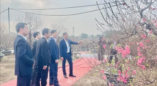 Nhat Tan peach blossom festival celebrates capital’s traditional craft