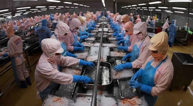 Vietnam remains Singapore’s third-largest seafood supplier in 2025