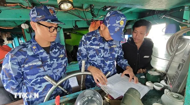 Ho Chi Minh City steps up IUU fishing crackdown