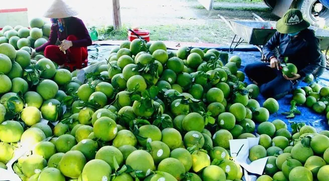 Hanoi’s agricultural exports surpass 2 billion USD in 2025