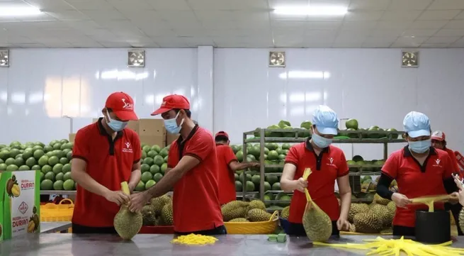 Quality helps Viet Nam retain agricultural market share in the US