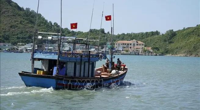 Vietnam intensifies efforts to have EC’s 'yellow card' on seafood exports lifted