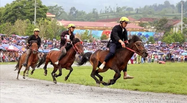 Lively Tet tourism season unfolds across Lao Cai