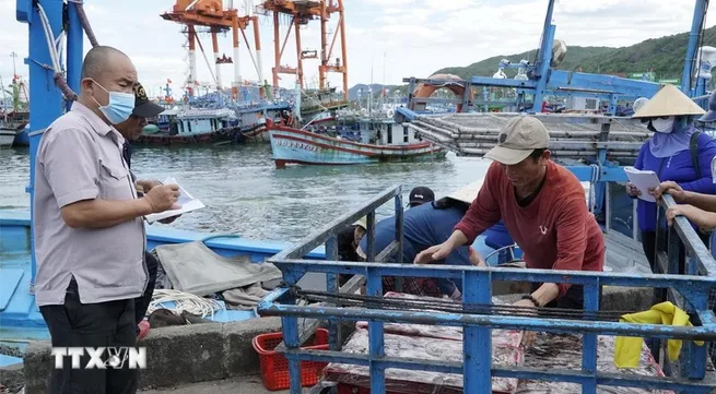 Da Nang adopts fisheries support policies to address EC’s IUU fishing “yellow card”