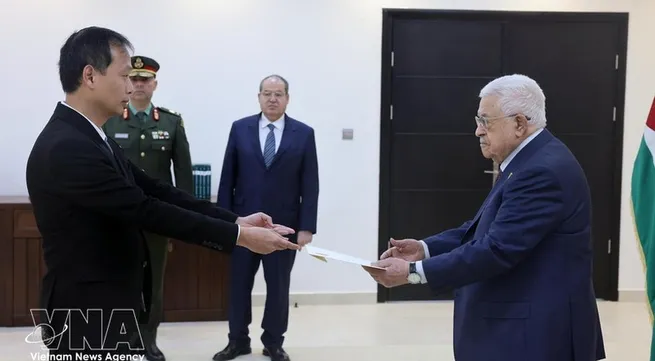 Vietnam stands ready to participate in Gaza reconstruction: Ambassador