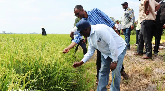 Can Tho shares agricultural transformation experience with Zambia