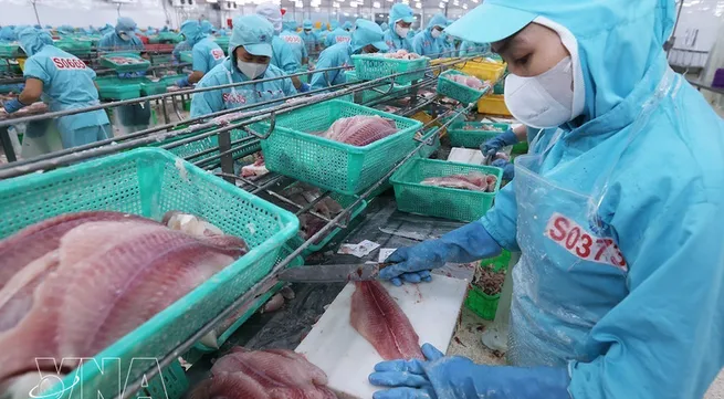 Agro-forestry-fishery exports: Proactive risk response needed to sustain growth