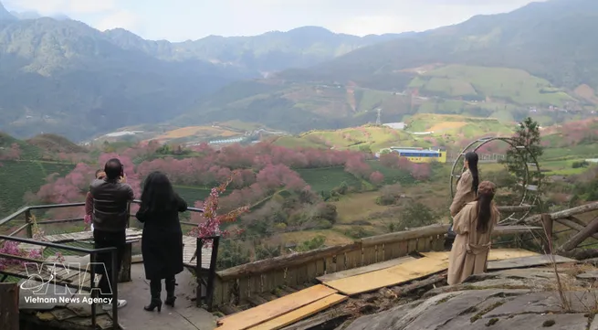 Vietnam among top five destinations searched by French travellers