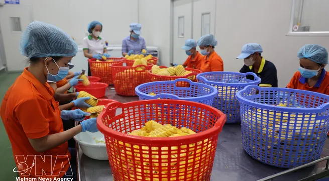 Vietnam’s food sector urged to move up global value chains