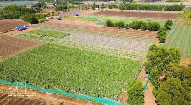 Data, digitalisation key to unlocking sustainable growth in Vietnam’s agriculture