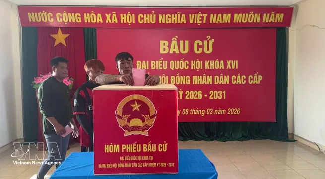 Vietnamese NA helps build institutional foundations for long-term development: Canadian researcher